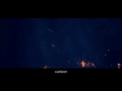 Pingdingshan Oriental Carbon Co., Ltd.